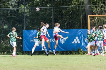 Bild 343 - wBJ Hamburger SV - VfL Wolfsburg : Ergebnis: 5:1